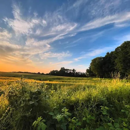 Peaceful In Ostseebad With Terrace בולטנהאגן