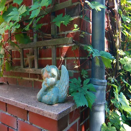 Peaceful In Ostseebad With Terrace בולטנהאגן