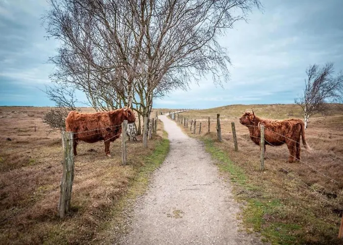 Peaceful In Ostseebad With Terrace