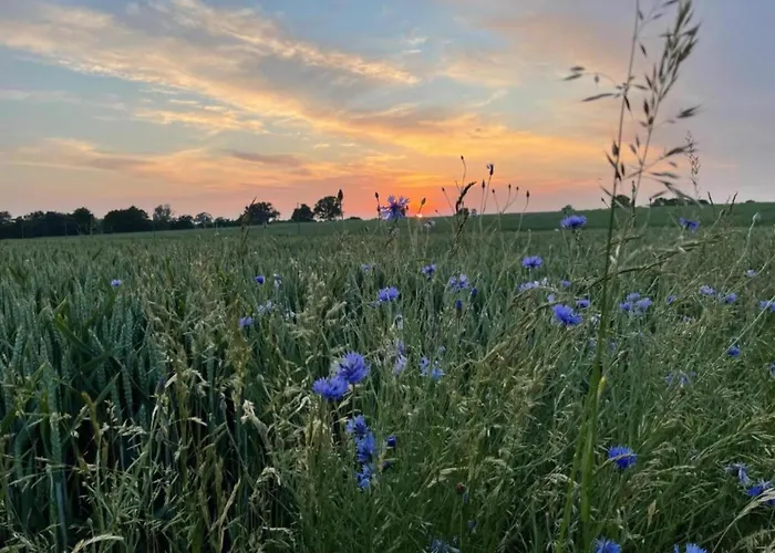 Apartment Peaceful In Ostseebad With Terrace Boltenhagen