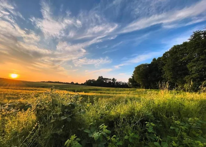 Peaceful In Ostseebad With Terrace Boltenhagen