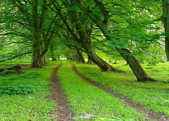 Apartment Peaceful In Ostseebad With Terrace Boltenhagen