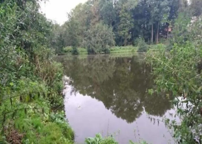 Peaceful In Ostseebad With Terrace Apartment